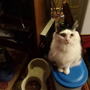 Meet your Posher, Karen